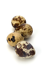 Image showing quail eggs