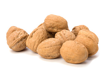 Image showing walnuts isolated on white background 