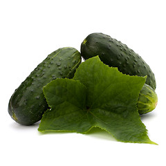 Image showing cucumber