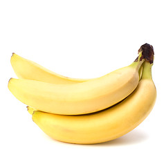 Image showing bananas isolated on white background