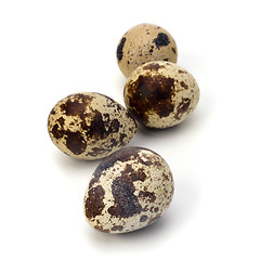 Image showing quail eggs