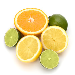 Image showing Citrus fruits