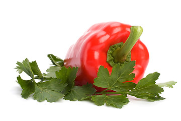 Image showing sweet pepper isolated on white background 