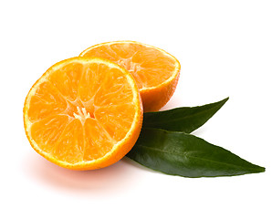 Image showing Tangerines