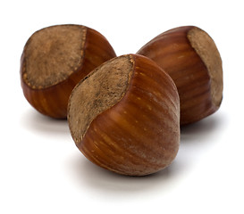 Image showing hazelnuts isolated on white background