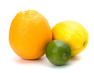 Image showing Citrus fruits