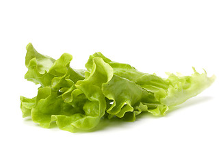 Image showing Lettuce salad isolated on white background