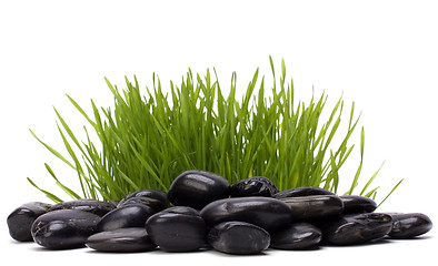 Image showing grass and stones isolated on white background