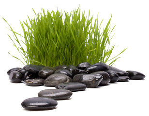 Image showing grass and stones. focus on stones.