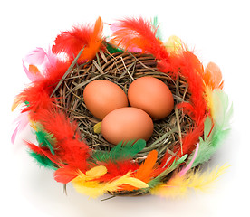 Image showing easter egg in nest isolated on white background