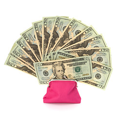 Image showing Glamour purse fill with money 