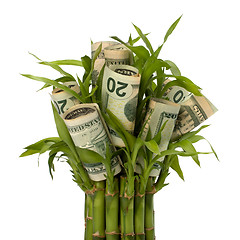 Image showing Money growing concept