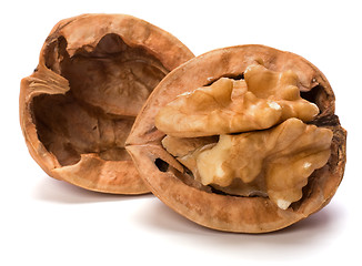 Image showing walnut