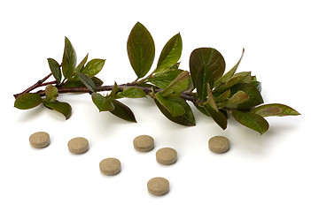 Image showing herbal medicine isolated on white background 