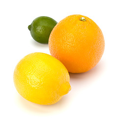 Image showing Citrus fruits