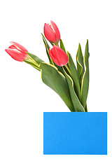 Image showing greeting card  with pink tulips  isolated on white background