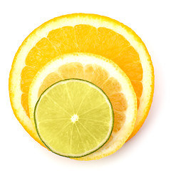 Image showing Citrus fruit slices