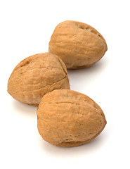 Image showing Circassian walnut isolated on the white background 