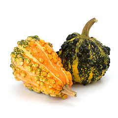 Image showing Decorative pumpkin 