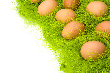 Image showing eggs border 