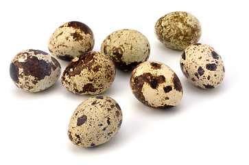 Image showing quail eggs