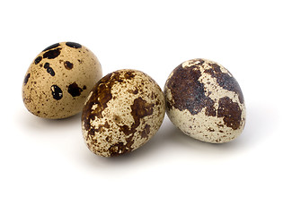 Image showing quail eggs