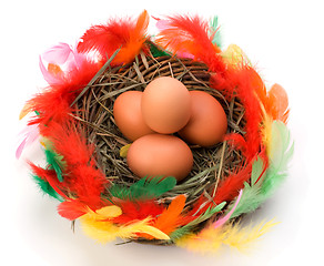 Image showing easter egg in nest isolated on white background