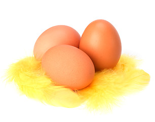 Image showing Eggs and feather isolated on white background. Easter decor.