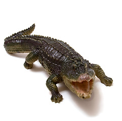Image showing Ceramics crocodile isolated on white background 