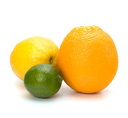 Image showing Citrus fruits