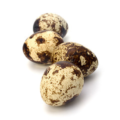 Image showing quail eggs