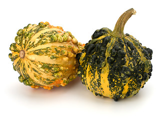 Image showing Decorative pumpkin 