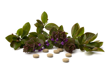 Image showing herbal medicine isolated on white background 