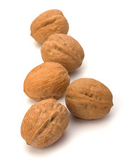 Image showing Circassian walnut isolated on the white background 