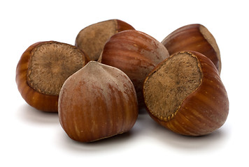 Image showing hazelnuts isolated on white background