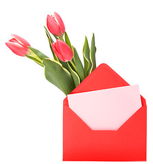 Image showing greeting card  with pink tulips  isolated on white background