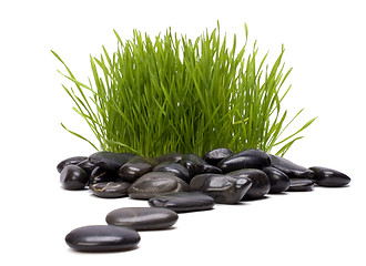 Image showing grass and stones isolated on white background