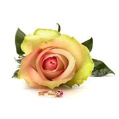 Image showing Beautiful rose with wedding ring  isolated on white background 