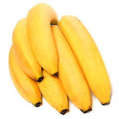 Image showing bananas isolated on white background 

