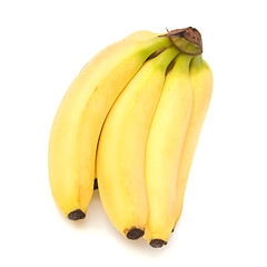 Image showing bananas isolated on white background 

