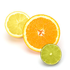 Image showing Citrus fruits