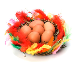 Image showing easter egg in nest isolated on white background