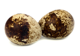 Image showing quail eggs