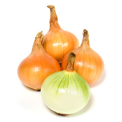 Image showing onion isolated on white background