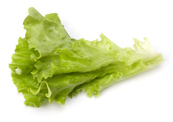 Image showing Lettuce salad isolated on white background