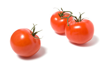 Image showing fasten tomato isolated on the white background 