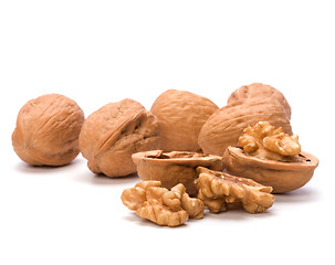 Image showing walnut