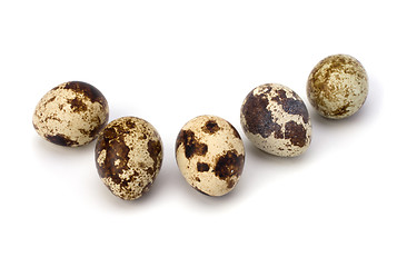 Image showing quail eggs