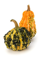 Image showing Decorative pumpkin 
