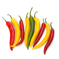 Image showing Chili pepper isolated on white background